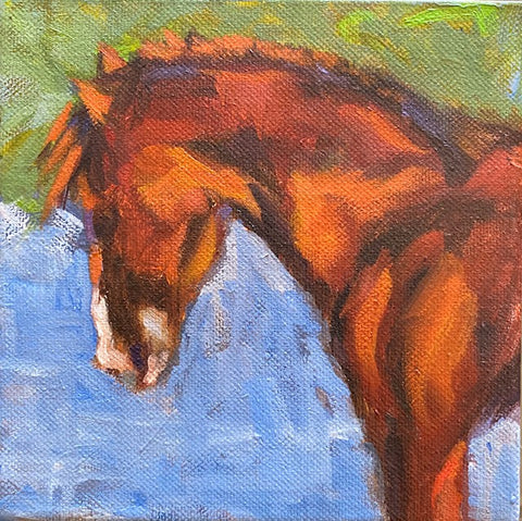 Clyde, 6" x 6"